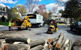 Lawn Maintenance Plans in Lacon, IL